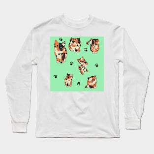 Minty Calico Kittens Long Sleeve T-Shirt